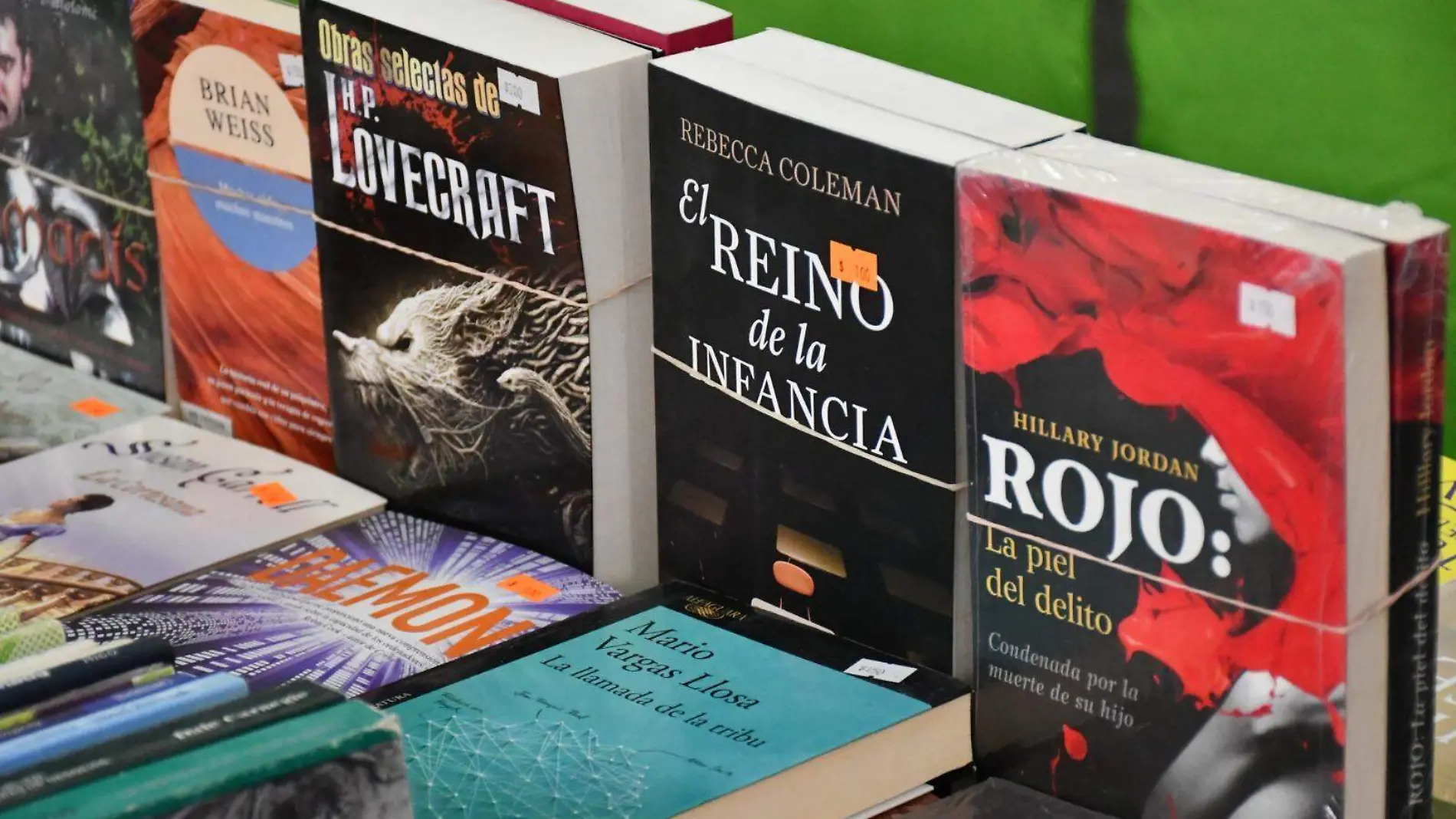 Feria del libro en Irapuato (2)